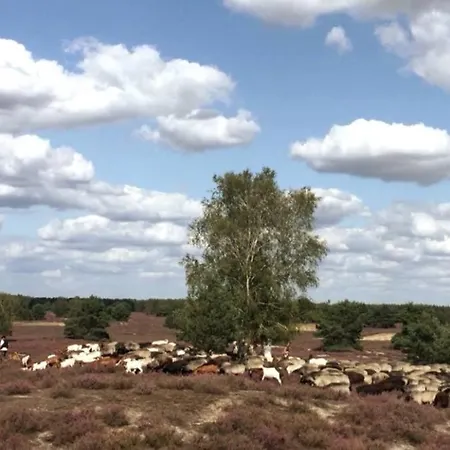 Feriehus Luett Huus Gartow