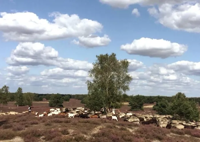 Ferienhaus Luett Huus Gartow