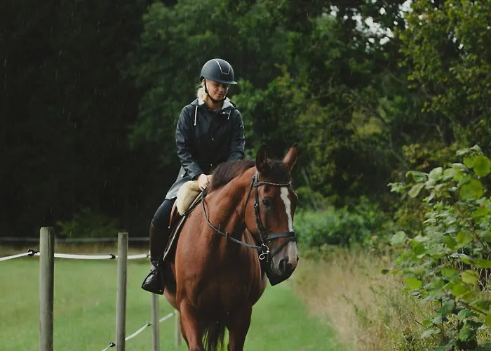 Luett Huus Vakantiehuis *